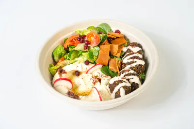 Falafel platter Salad